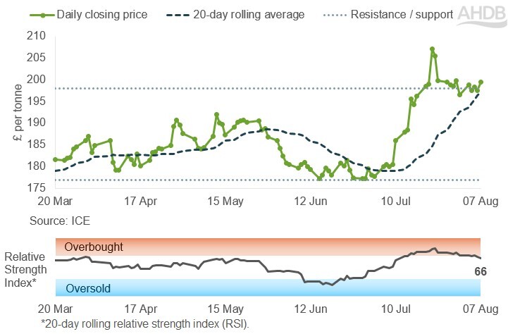 Line graph of UK feed futures Nov-26 contract prices over the past six months.